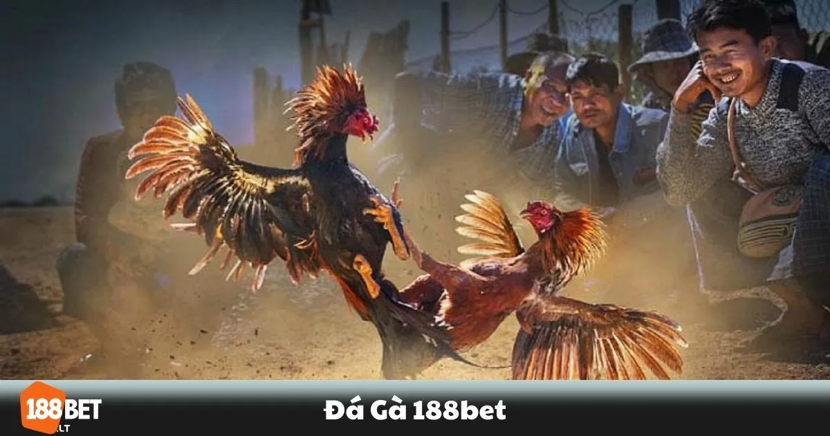 Đá Gà 188BET - Cổng Cá Cược Đá Gà Trực Tuyến Uy Tín 1 Đá Gà 188BET - Đá gà trực tuyến là gì? Sự khác biệt giữa các loại hình đá gà