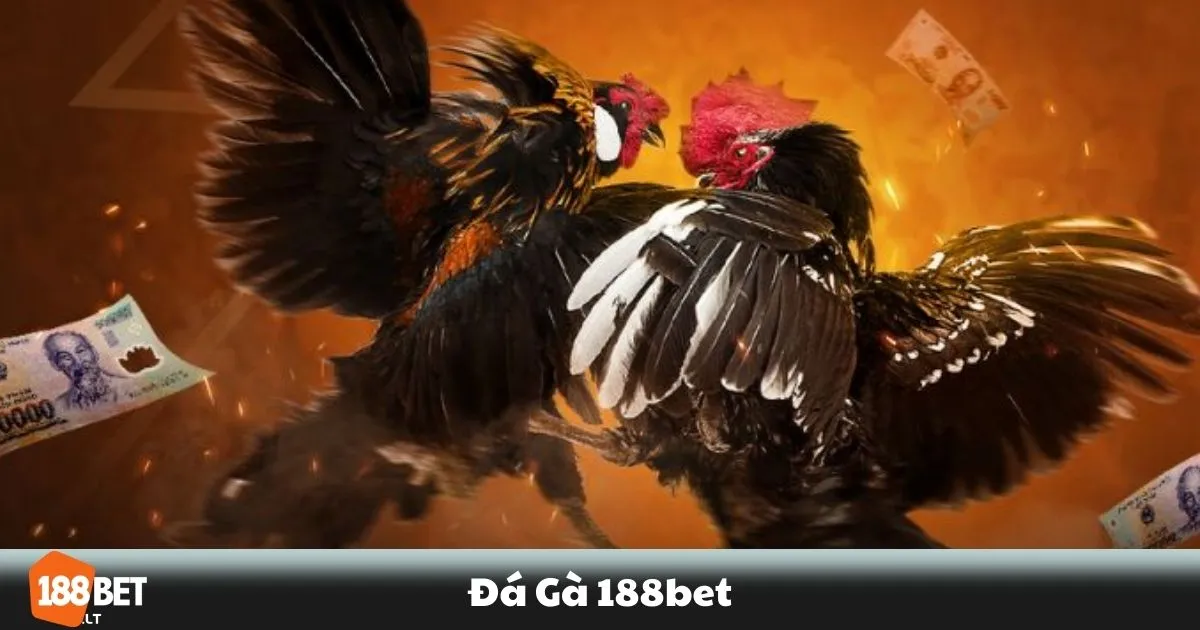 Đá Gà 188BET - Cổng Cá Cược Đá Gà Trực Tuyến Uy Tín 2 Đá Gà 188BET - Cách tham gia cá cược đá gà tại 188BET