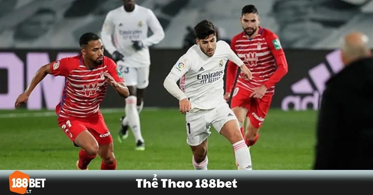 Thể Thao 188BET - Cổng Cá Cược Thể Thao Hàng Đầu 1 Cá cược quần vợt, bóng rổ, đua xe